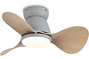 ycwdcz Lustre Ventilateur de Plafond Petit Silencieux DC Ventilateur Plafond avec Lumiere 6 Vitesse Réversible 3 Pales 3 CCT, Mini Led Ventilateur Plafond avec Telecommande pour Chambre Enfant