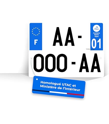 Plaque D'immatriculation Japonaise JDM - 30,5x15,5 Cm - Aluminium Et Métal - Design Personnalisable (Civic, Noir, Rayures) - Décoration Voiture, Garage - 6