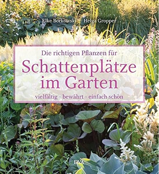 Die Richtigen Pflanzen Fur Schattenplatze Im Garten Vielfaltig Bewahrt Einfach Schon Amazon De Borkowski Elke Gropper Helga Borkowski Elke Bucher