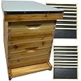 Bee Hive Complete - Premium Beehive Langstroth 8 Frame - Includes Frames, Foundations and Queen Excluder.