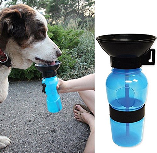 6in raised dog bowls Pawfect Pets Elevated Dog Bowl Stand- 4” Raised Dog Bowl for Small Dog main image 0
