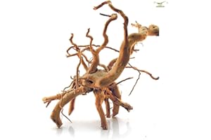 ORIENTAL AQUARIUM Stoffels Racine Araignée Bois d'Ornement Décoration pour Aquariophilie +/- 75 cm Taille XL