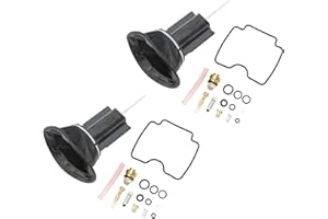 EVTSCAN 30pcs Carburetor Repair Kit, Motorcycle Carb Rebuild Set Professional Replacement for XVS 1100 Drag Star 1999‑2007