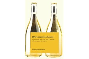 Effervescenze diverse. Vini ancestrali, birre acide, sidro e idromele: le fermentazioni da scoprire