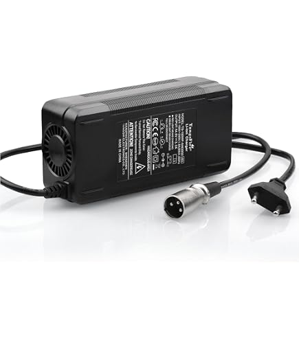 Labtec Chargeur vélo électrique 54,6V 48V 2 A, Chargeur pour Batteries Li-on 48 V 2 A 13S Scooter électrique, CC 5,5 mm x 2,1 mm
