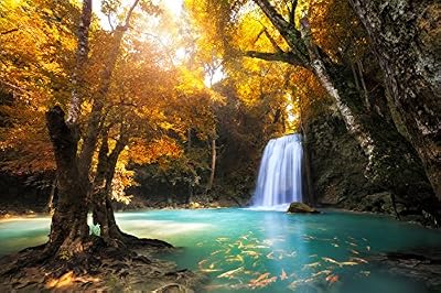 EURODOCOR Papier Peint Photo Mural INTISSÉ-CASCADE KANCHANABURI (365v)-350x260 cm -7 lés 50x260 cm- de haute qualité impression NUMÉRIQUE photo réaliste! Colle spéciale pour INTISSÉ- Non Woven - Poster Géant XXL-Mer Sable Carabie Beach Mer Océan…