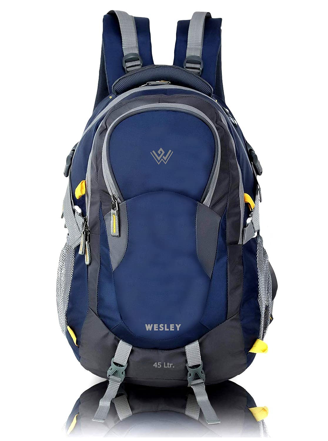 Wesley Spartan Unisex Travel Hiking Laptop Bag fits Upto 17.3 inch with Raincover and Internal Organiser Backpack Rucksack Co
