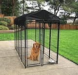 Box e recinti per cani usati