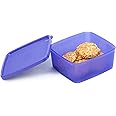 Signoraware Fridger Fresh Small Plastic Container, 500Ml, Violet, Blue