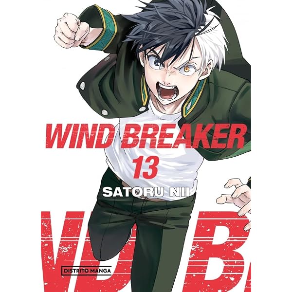 Wind Breaker 15 (Shônen) : Nii, Satoru, Madinabeitia, Maite