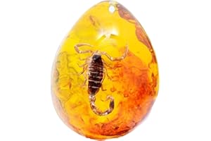 Funrelaxer Ambra fossile con insetti campioni di pietre campioni di cristallo Specimen insetto ciondolo ambra gioielli fai da te