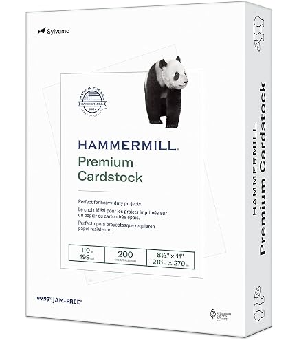 Neenah Premium Karton 21,6 X 27,9 Cm 176 G/m² Hoogwit 250 Vellen