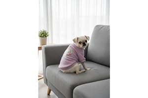 Winter Dog Cat Shirt for Indoor Cats - Padded Inside - Warm and Comfortable for Daily Use, Outings and Outings (Purple, M)
