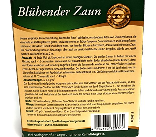 Premium Blühender Zaun inkl. 1 Pkg. Schöngesicht kostenlos - 2