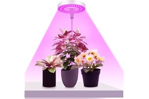 Ainiv Raised Grow Light, Indoor LED Light, 9 Adjustable Brightnesses, 180° Rotating Light Panel, Adjustable Height and Automa