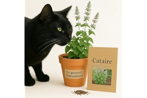 LE GRENIER D'ABONDANCE LES GRAINES QUI DONNENT ENVIE 300 graines à semer - Le Grenier d'Abondance - Cataire - Nepeta Cataria