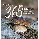 365 funghi. Un anno di scoperte dalla terra al mi-cielo