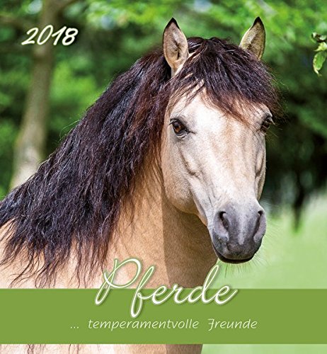 Pferde 2018 - Horses - Postkartenkalender (15 x 16)