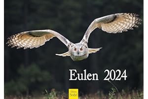 ‎EDITION SEIDEL Edition Seidel Premium Kalender Eulen 2024 Format DIN A4 Wandkalender Eulenkalender Vogelkalender Eule Uhu Vogel Wildvogel