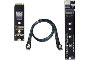 chenyang CY M.2 NVME NGFF M-Key SSD Stecker auf Buchse Verlängerungskabel 40cm mit SFF-8654 Steckeradapter für Mainboard SSD 2280/22110