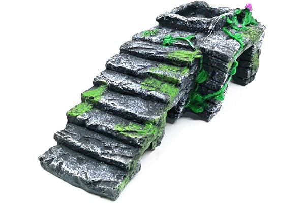 OMEM Nichoir d'élevage pour Reptiles - Décoration de Terrarium - Rampe pour réchauffement et Eau