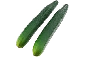 Gresorth 2 Pcs morbido PU materiale Artificiale realistico verde cetriolo Falso Verdura Decorazione