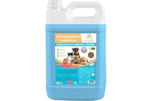 PROQUIMAR Limpiador de Manchas y Olores para Mascotas | Elimina Orina, Heces, Comida y Huellas | Evita Marcaje Repetido | Para Suelos, Alfombras y Tapicerías | Varios formatos (1, 5 Litros)