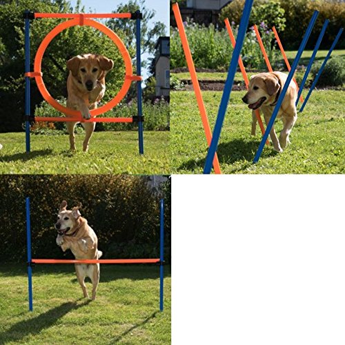 Complete Enjoyable Dog Agility Course Contains Agility Hurdle