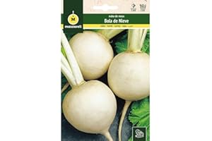 M MASCARELL SEMILLAS DESDE 1920 Mascarell Semillas, NABO, Semillas Huerto, NABO BOLA DE NIEVE, Crea tu Propio Huerto Urbano y Cultivo en Casa, Plantas Hortícolas, 12 Gramos