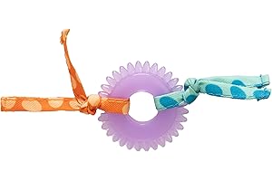 CATSTAGES Petstages Dental Kitty Chew Wheel - Zabawka dla kotów z kocimiętką - wielobarwna