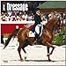 Dressage 2014 - Dressurreiten: Original BrownTrout-Kalender [Mehrsprachig] [Kalender] by 