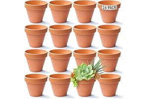 Green Thumbz Terracotta Plant Pots - 8cm x 16 Pack Small Plant Pots - Multi Purpose Mini Terracotta Pots for Plants, Flowers, Candle Making, and Painted Art