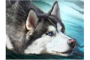 Ideen mit Herz 5D Diamond Painting | Diamant Painting Set | 30 x 40 cm | Motivleinwand | runde Steinchen | inkl. Zubehör | verschiedene Bilder zur Auswahl (Husky)