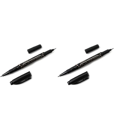 Sharpie twin tip marqueur indélébile pointe fine noir 12 pièce(s