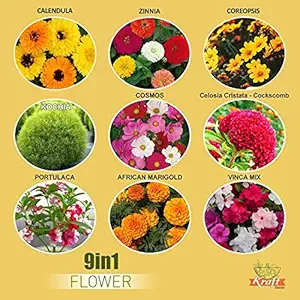 Kraft Seeds Flower Garden Series 9 Varieties in 1 Flower Seeds Pack