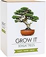 Gift Republic: Grow It. Grow Your Own Bonsai Trees