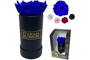Eternal Blossom Preserved Real Infinity Rose | Eternal Rose That Lasts Over A Year | Black Box | With Gift Box (Royal Blue)