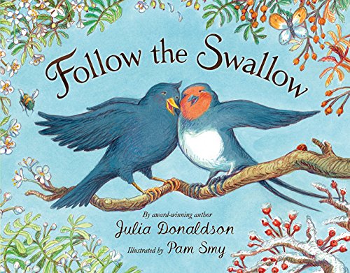couverture de : Follow the swallow
