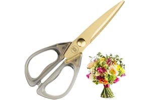 TAYLORS EYE WITNESS Ciseaux de cuisine dorés, irisés et en cuivre doré