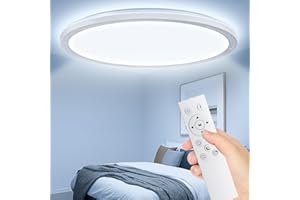 Taipow 24W 2642LM Dimmable LED Ceiling Light with Remote Control, Ultra Thin 3000K-6500K Flush Mount Ceiling Lamp for Bedroom Kitchen Hallway Balcony Porch, Ø30cm - White