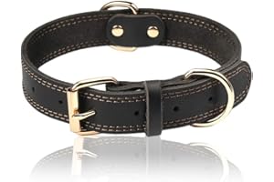 DAIHAQIKO Collare per Cane in Vera Pelle Collari per Cani Resistente Collare Largo per Cani di Piccola Taglia Media Taglia Grande ed Extra Grande
