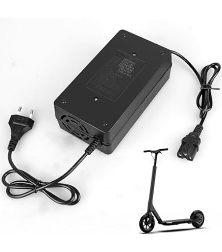 Chargeur De Vélos électriques, Chargeur De Batterie De Scooter