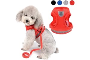 Zunea Harnais pour Chien pour Petit Chien Chat sans Tirer Harnais Ajustable en Maille Filet Souple rembourré Vest Harnais Laisse avec Ensemble de Bande réfléchissante Chiots Laisse pour Chien