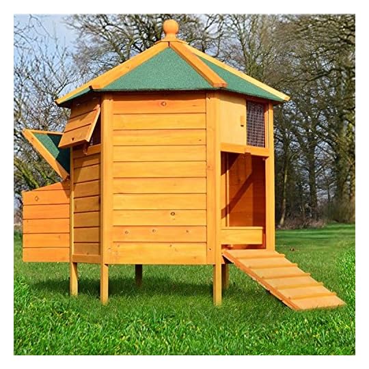 Einen guten Hühnerstall kaufen - Tipps aus 20 Jahren Hühnerhaltung