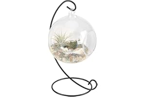 Raguso Florero de Vidrio Colgante Transparente Contenedor de Planta de Vidrio Colgante Terrario de Planta Grande con Marco para Plantas de Aire Jardineras suculentas Decoración del jardín del hogar