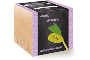 FEEL GREEN Message Cube, Avec Haricot Magique Gravé Au Laser: Merci, Idée Cadeau (100% Ecologique), Grow-Your-Own/Kit Prêt-à-Pousser, Plantes Dans Des Cubes En Bois 7.5cm, Produit en Autriche
