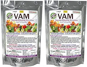 TSR Organic Fertilisers & Pesticides VAM Vesicular Arbuscular Mycorrhizal (400 + 400 Grams) 100% Organic bio Fertilizer granules for Stronger Root Development