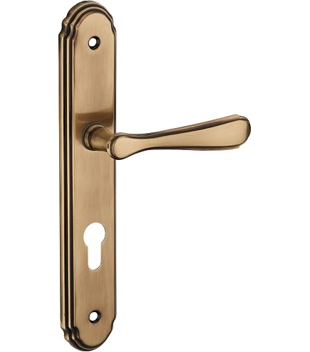KOTARBAU Poignée De Porte Patine 72mm - Moderne, Zamak, Plaque Longue 240mm, Pour Porte Intérieure/Extérieure