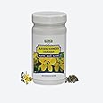 Medisiddh Aavarai Kudineer Chooranam 100 Gms | Diabetes | Skin diseases | Eye problems | Urinary tract infections | Constipation