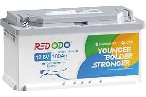 Redodo Batteria Litio 12,8V 100Ah H190,Smart Bluetooth Batterie Lifepo4 con 100A BMS,1280Wh,con Altezza di 188mm,Protezione dalle Basse Temperature,per Camper,RV,Roulotte